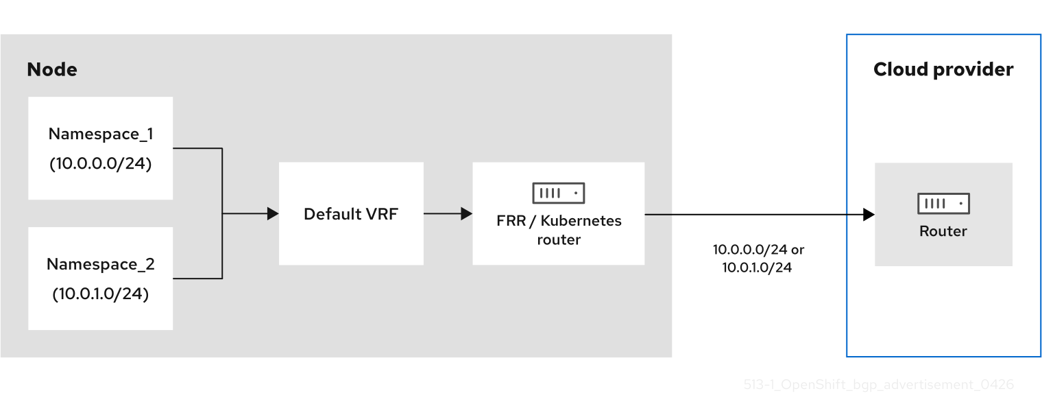 Image of BGP advertisement without a VPN