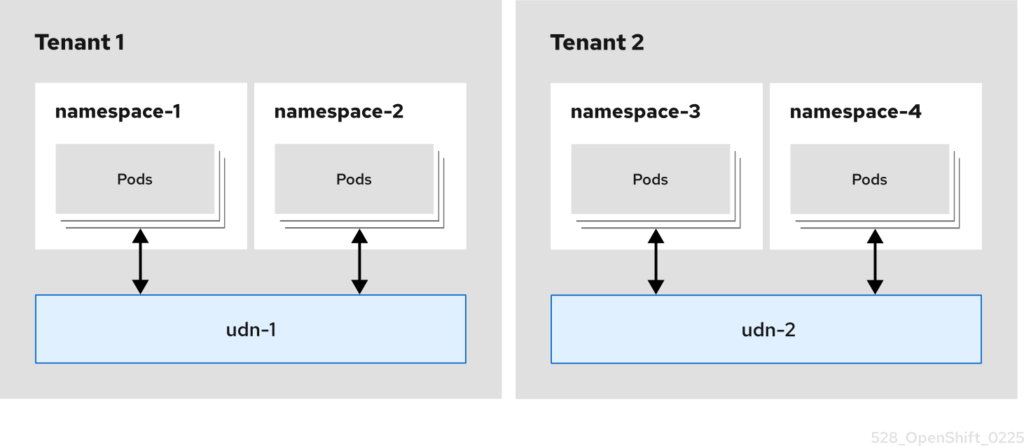 The tenant isolation concept in a user-defined network (UDN)